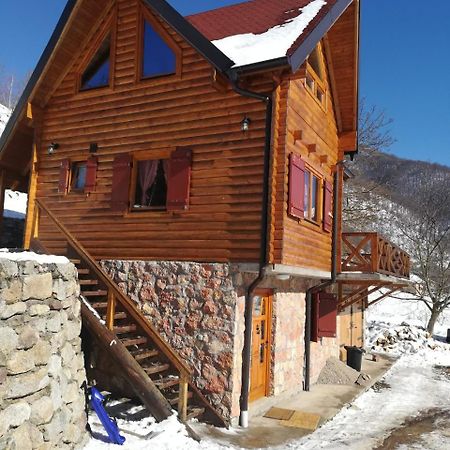Vila Jelena Crni Vrh Luaran gambar