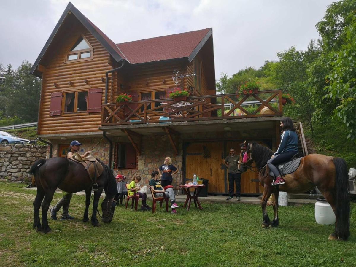 Vila Jelena Crni Vrh Luaran gambar