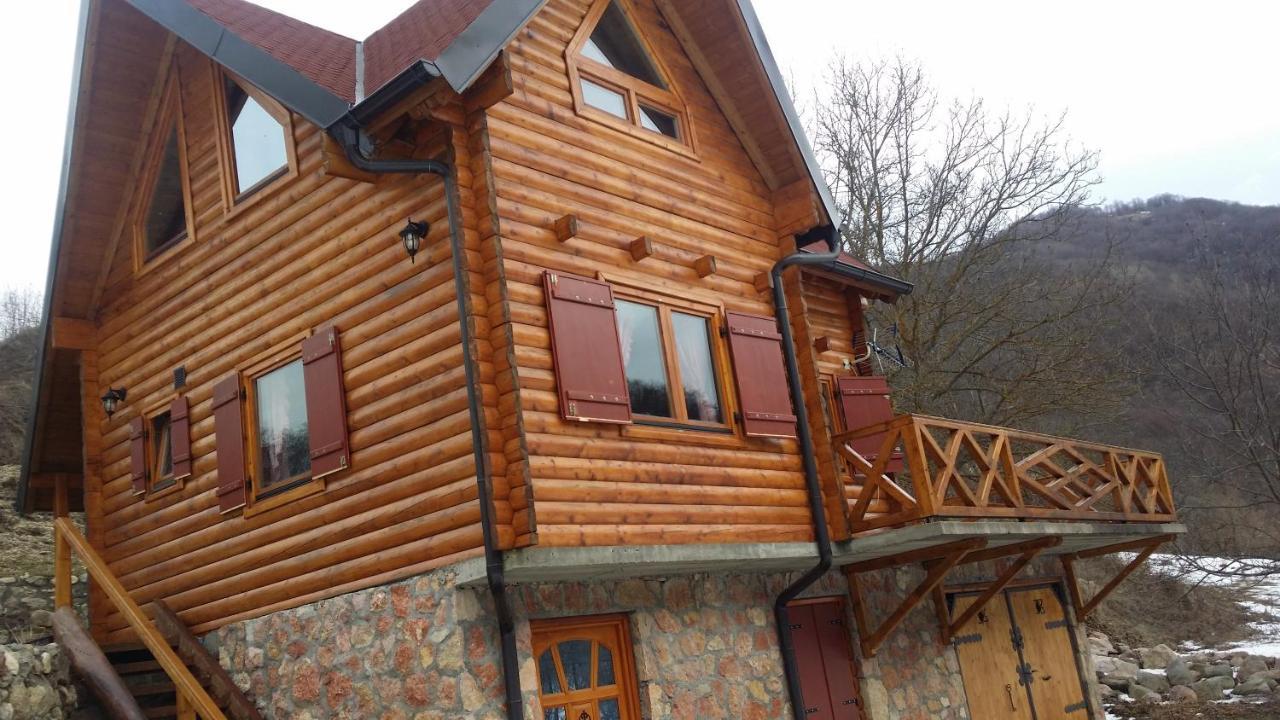 Vila Jelena Crni Vrh Luaran gambar