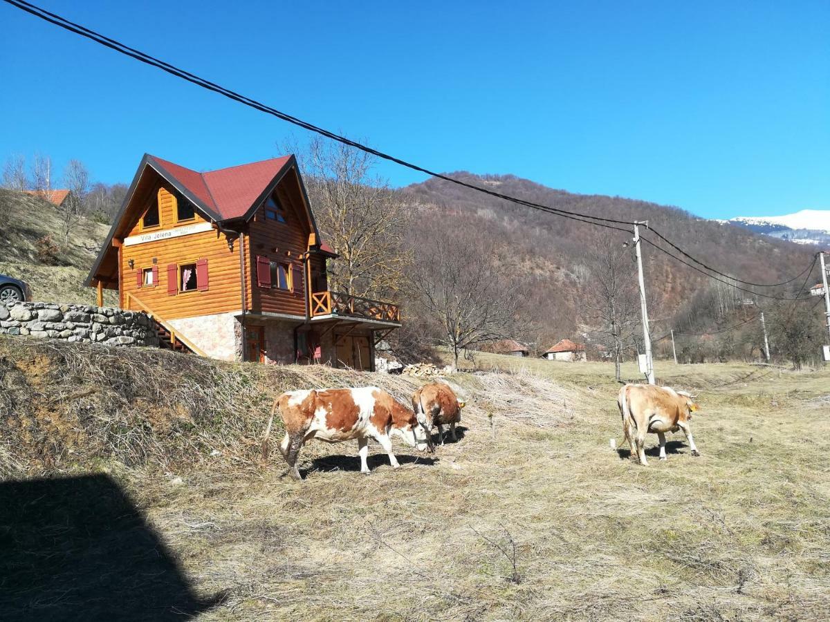 Vila Jelena Crni Vrh Luaran gambar
